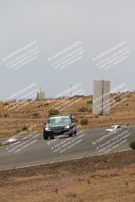 media/May-03-2025-Lucky Dog Racing (Sat) [[206de64b9d]]/Turn 6 (150pm-230pm)/